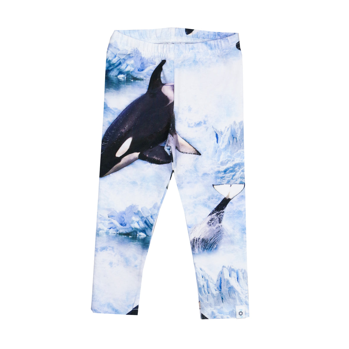 Whales Leggings light blue