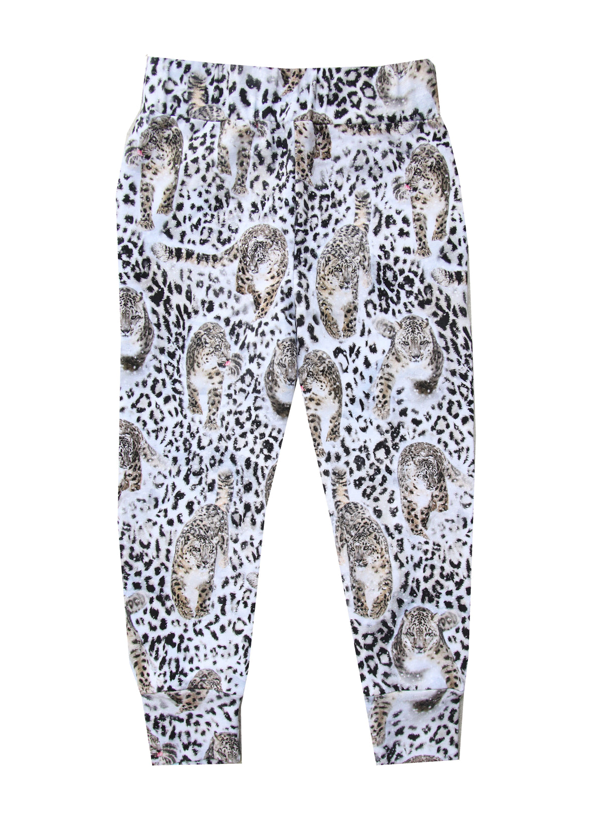 Eevert Leopard