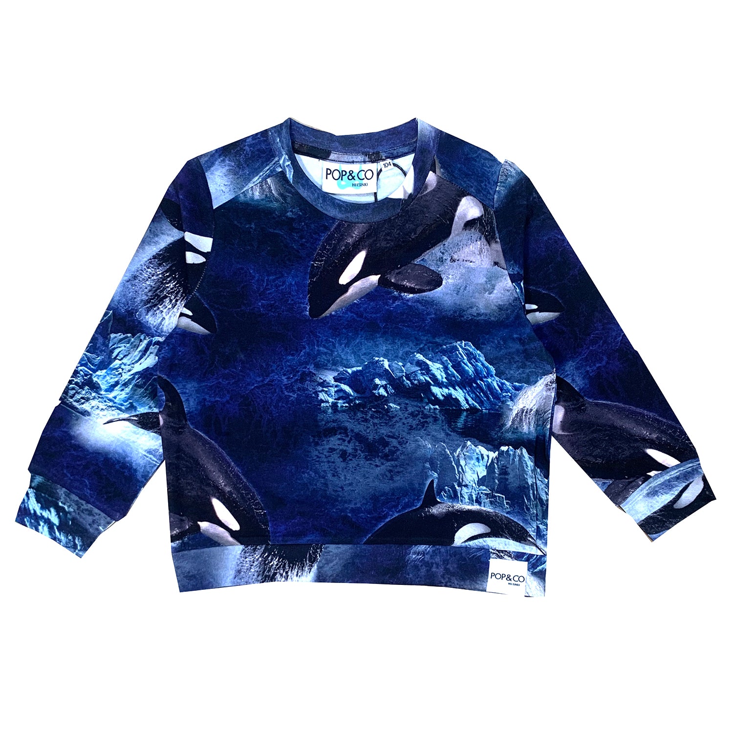 Whales sweater