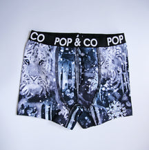 Werner Boxers